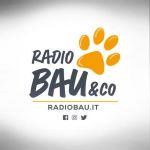 Radio Bau & Co